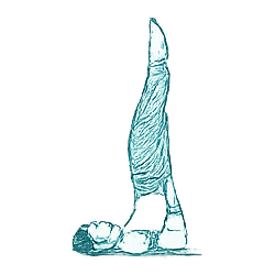 Shoulder Stand Yoga Pose for Ashtanga Class